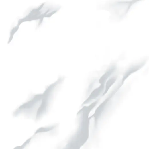 1010