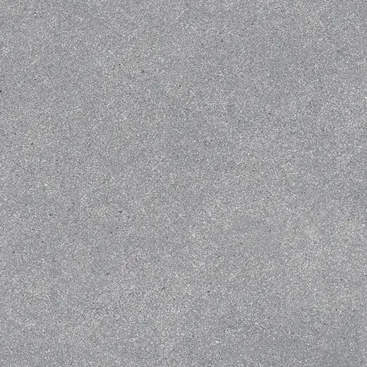 1101