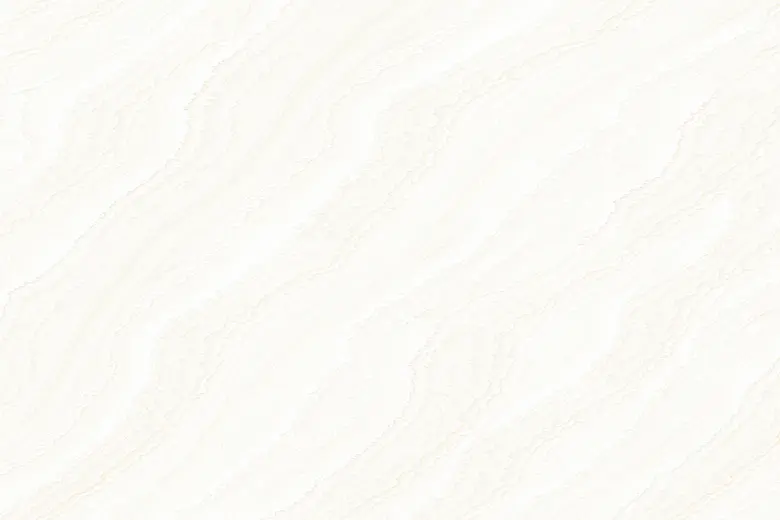 5697-Lt[P]
