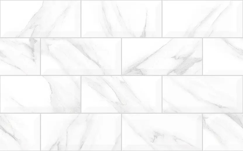8462-Hl1