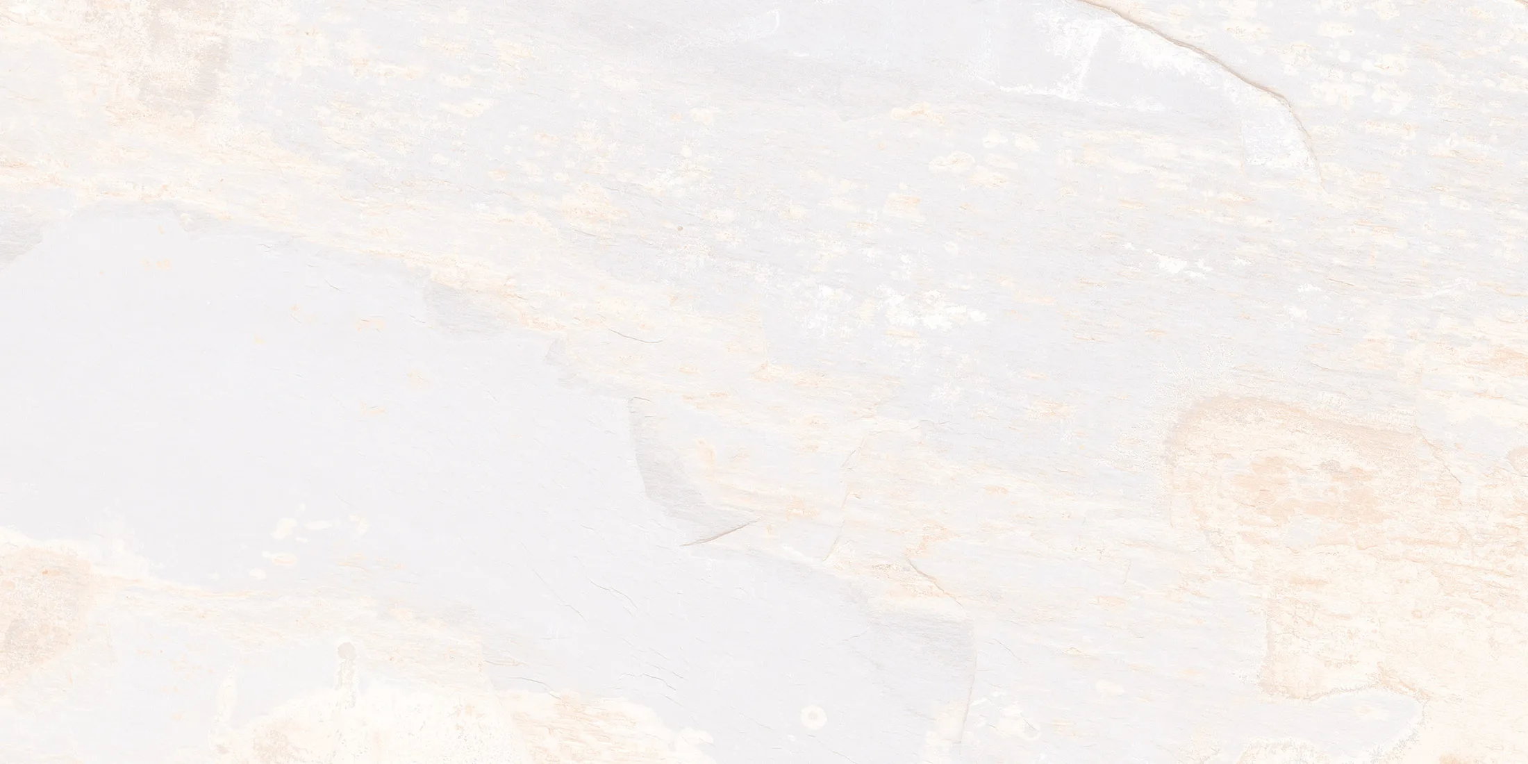 Ex-Nw-039 · LT-2