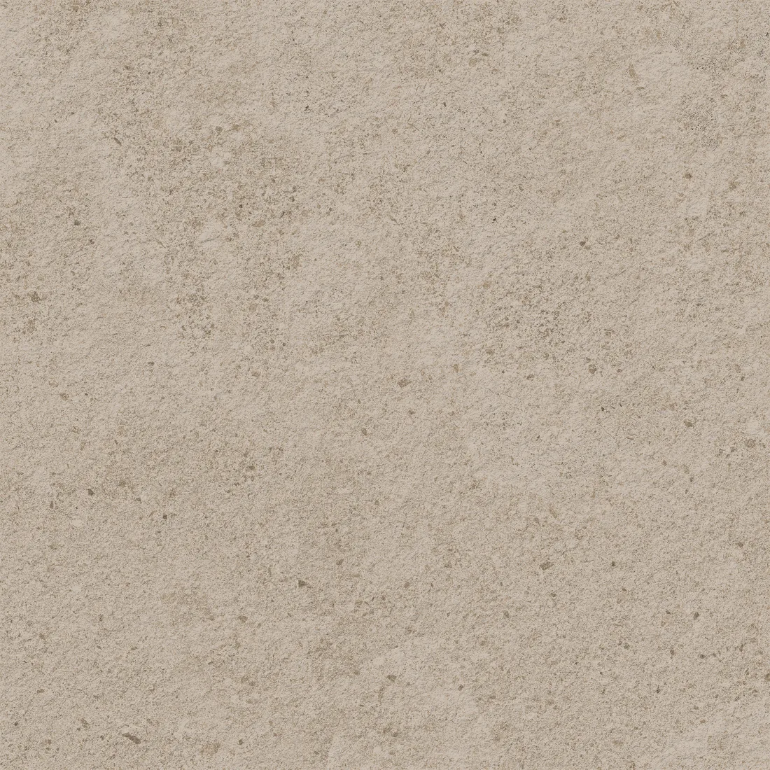 Rivara Biscuit · F3