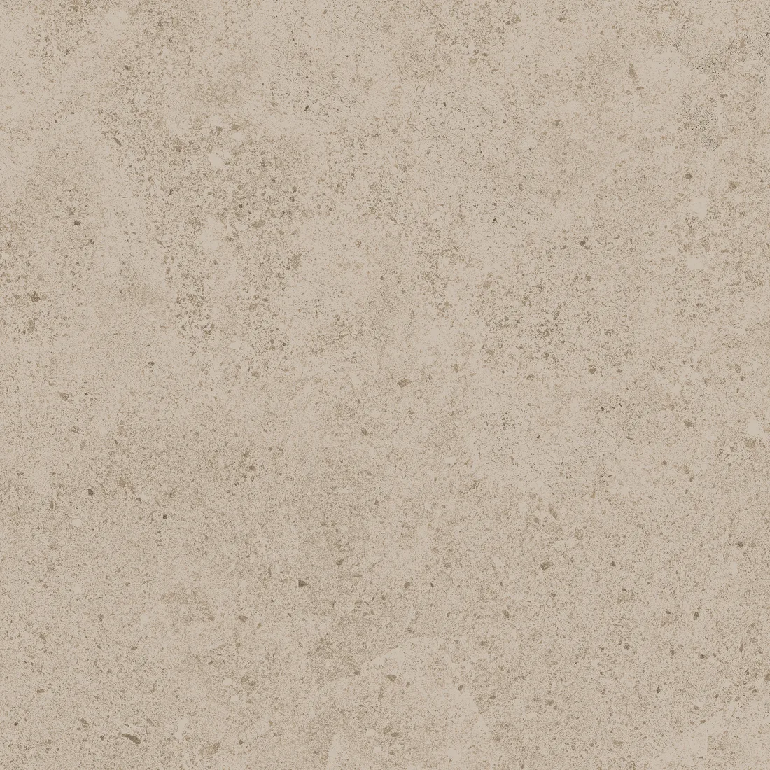 Rivara Biscuit · F3