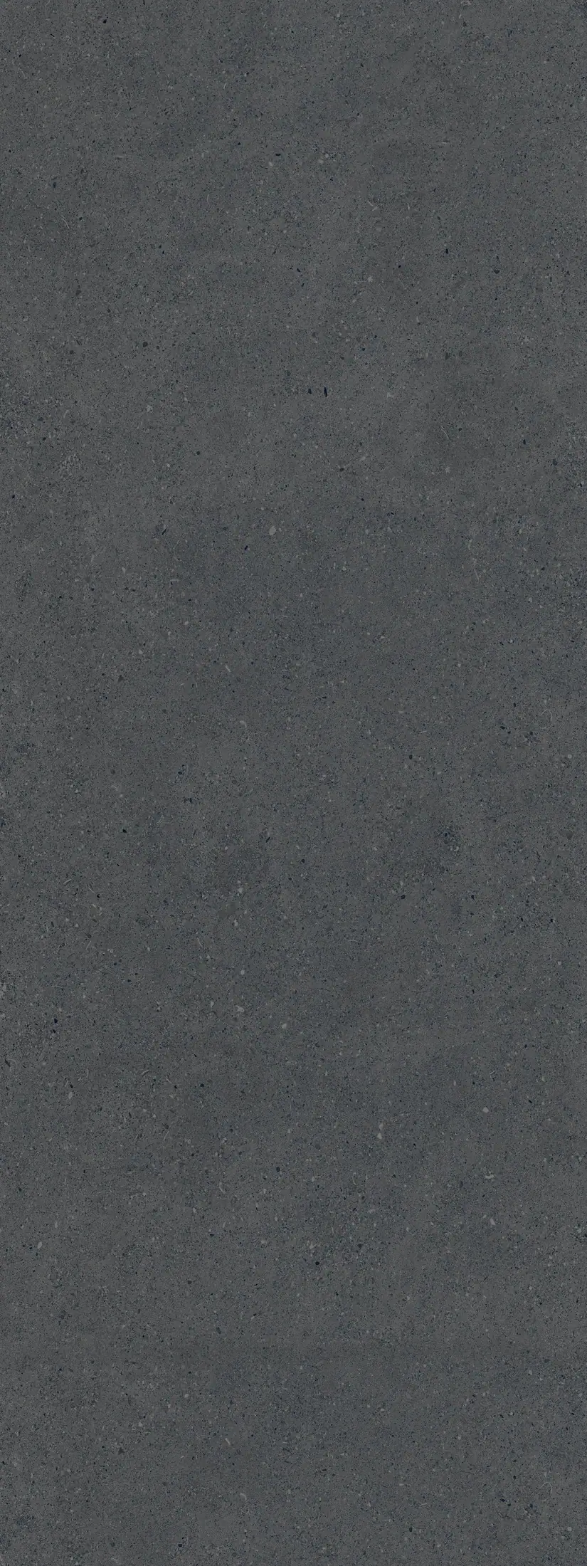 Black Fjord · R2