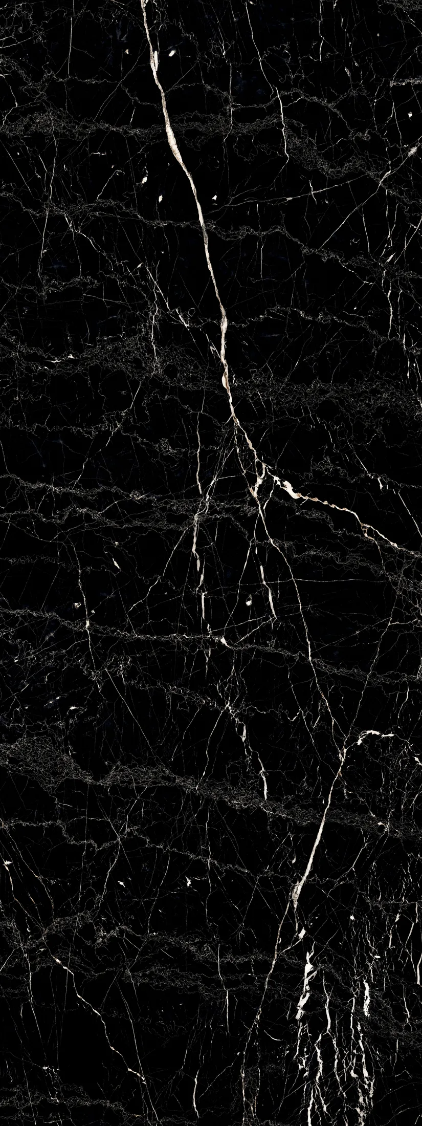 Black Marquna · F2