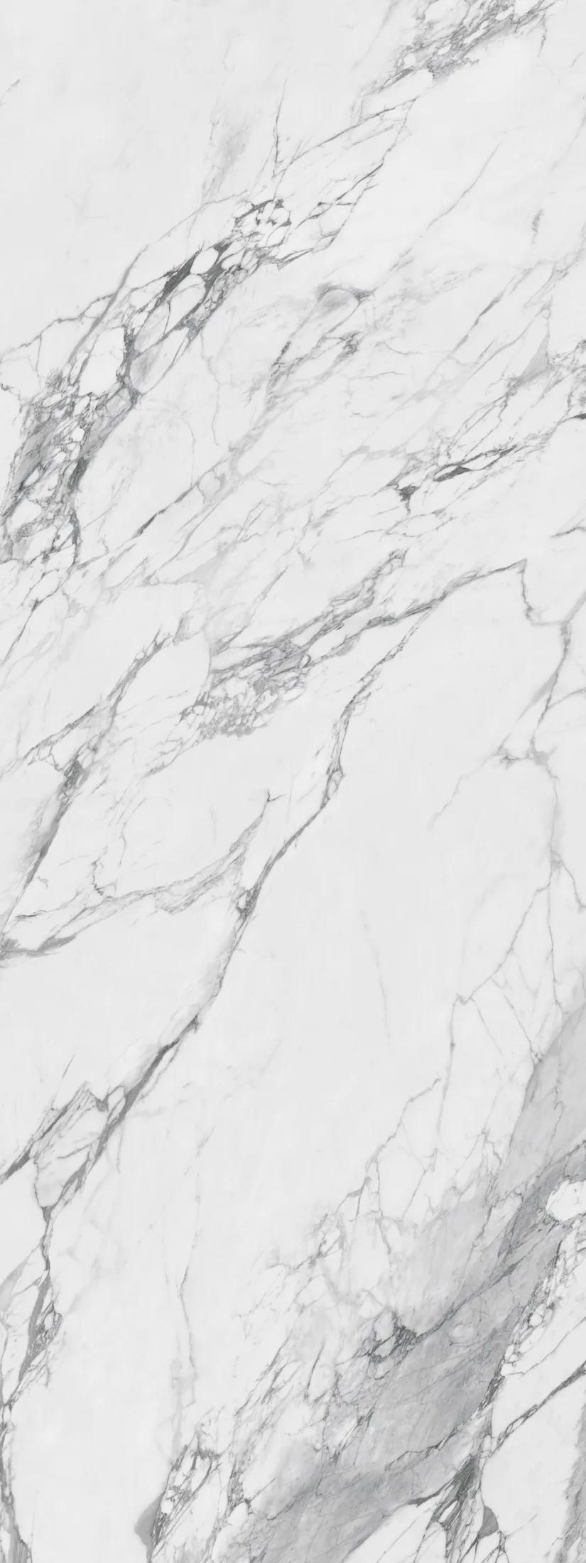 Carrara Nose · F2