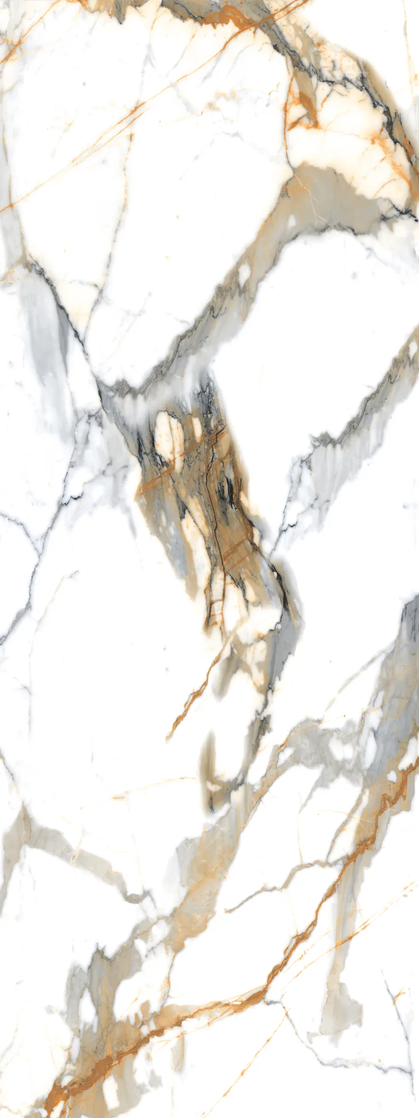 Renzo Gold · F2
