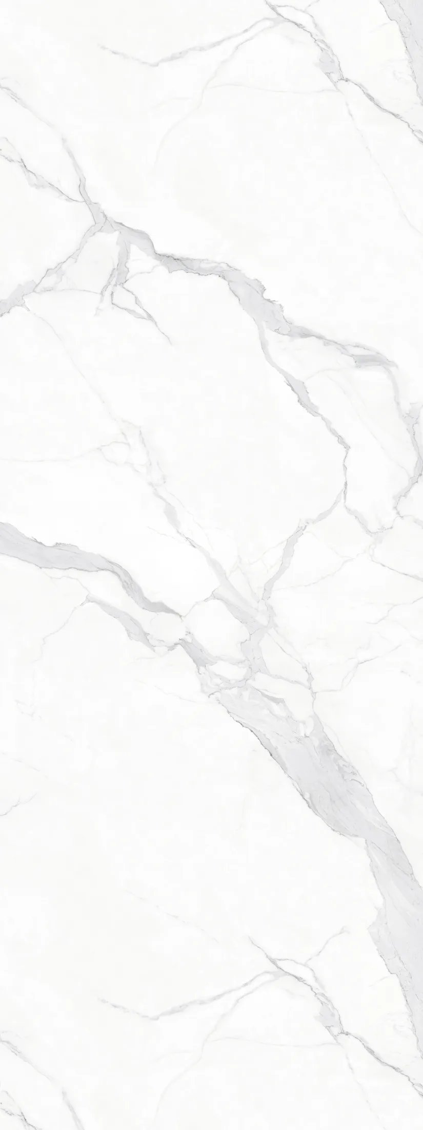 Satuario Norwell · F2