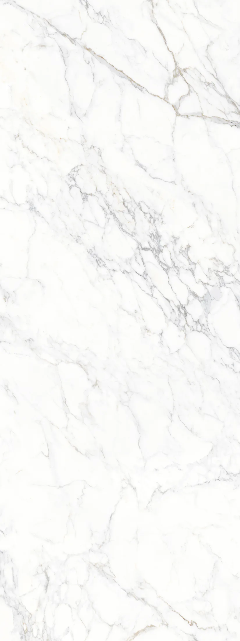 Senso White · F2