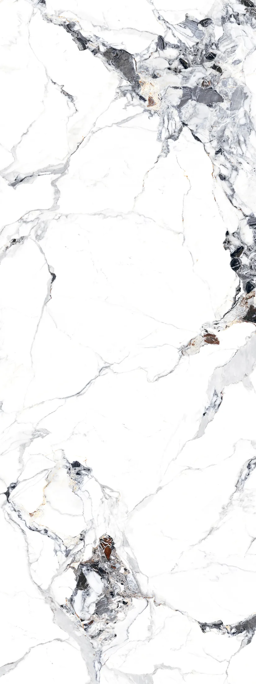 Spanish White · F2