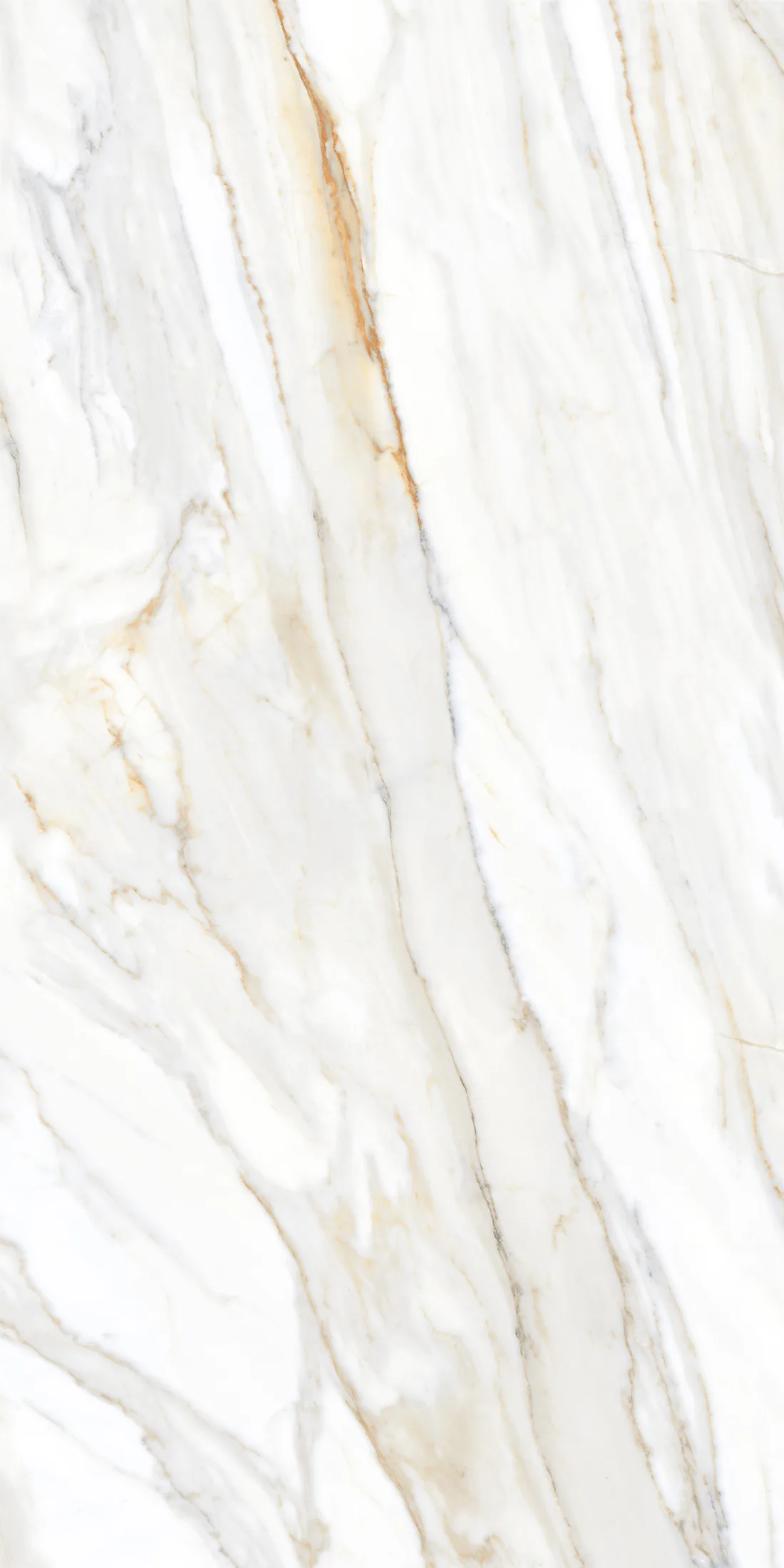 Angelo White · 2