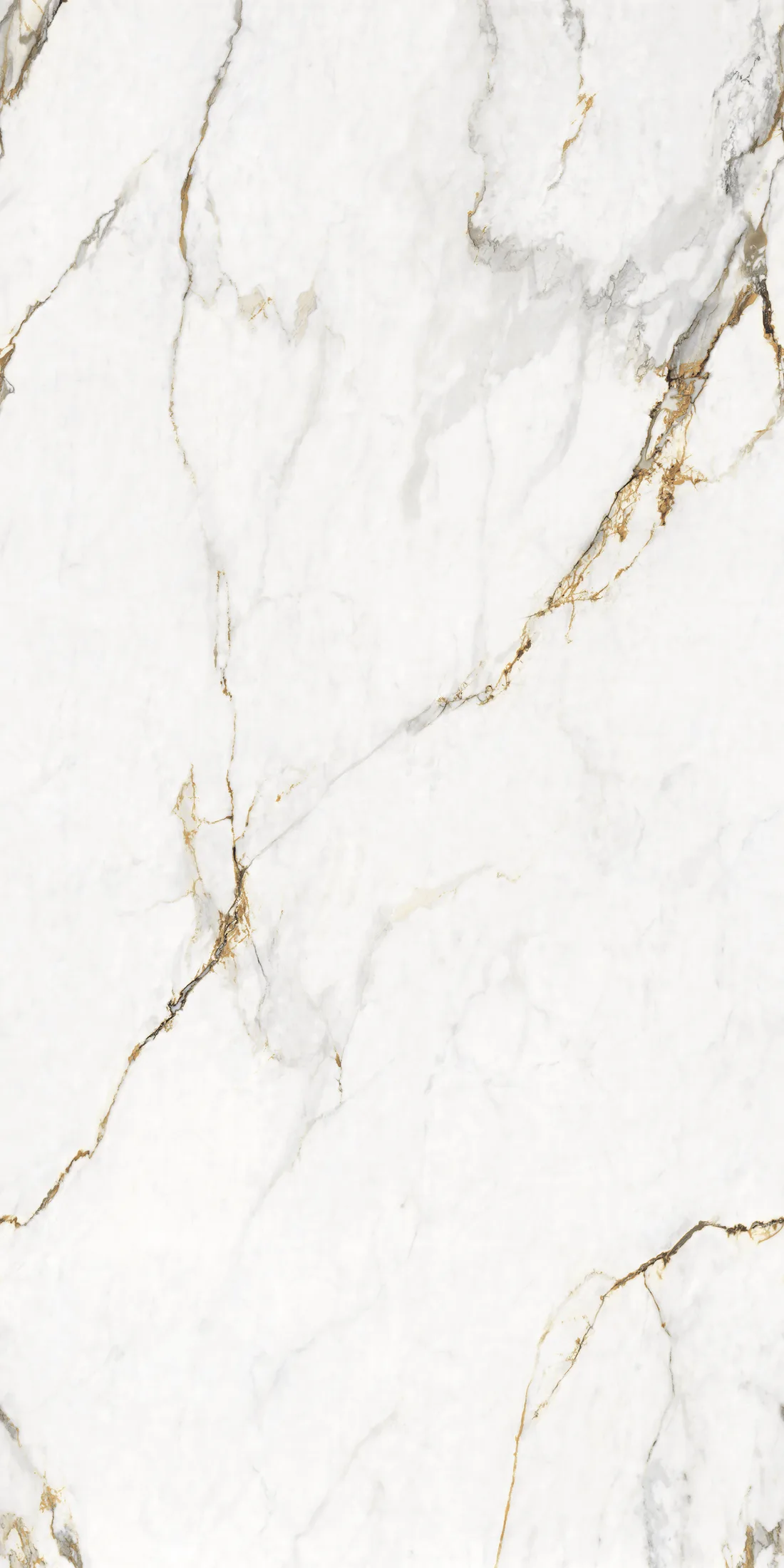 Apolo White · 2
