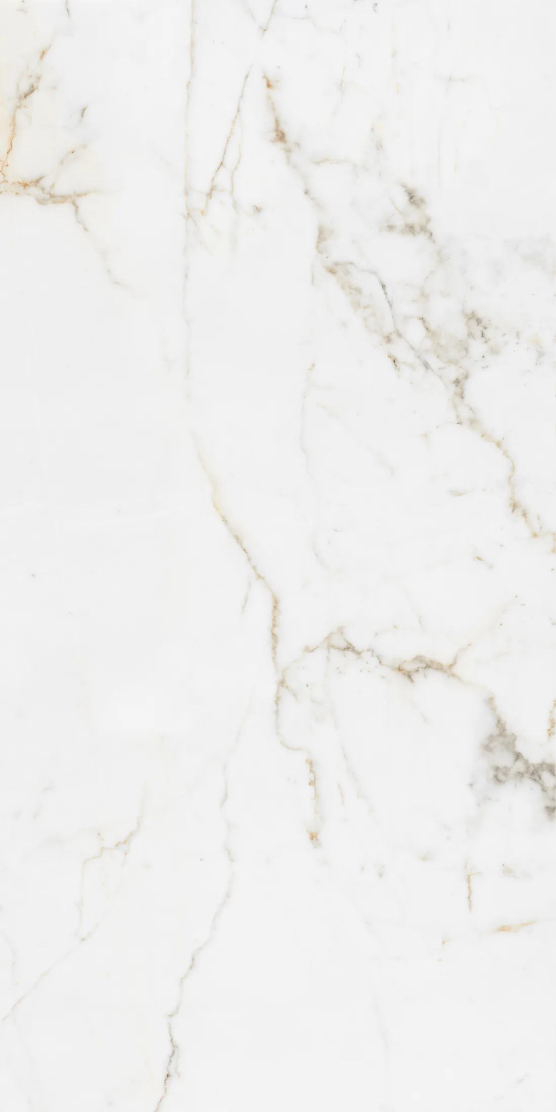Arden White · 2