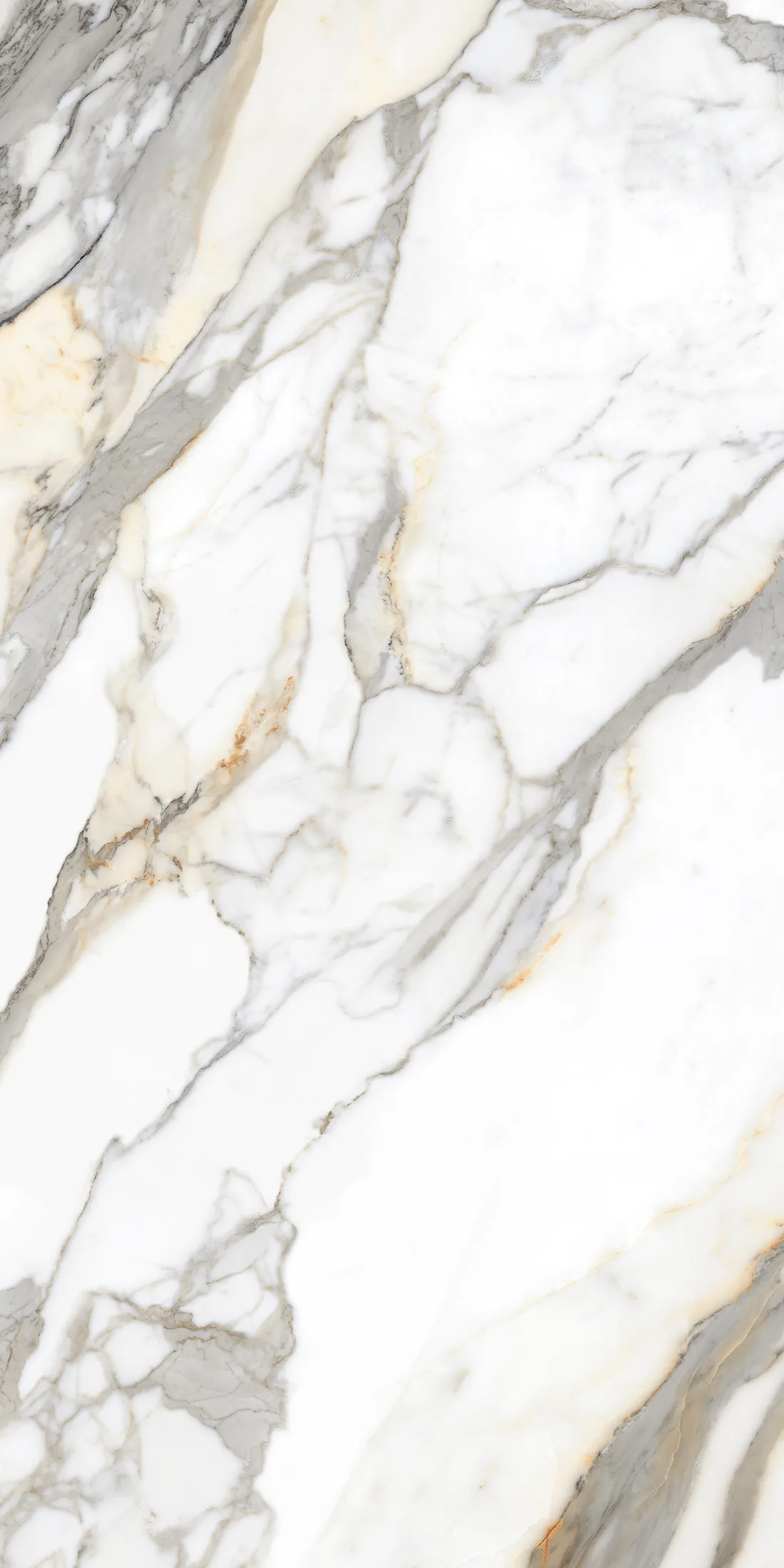 Calacatta Royal · 2