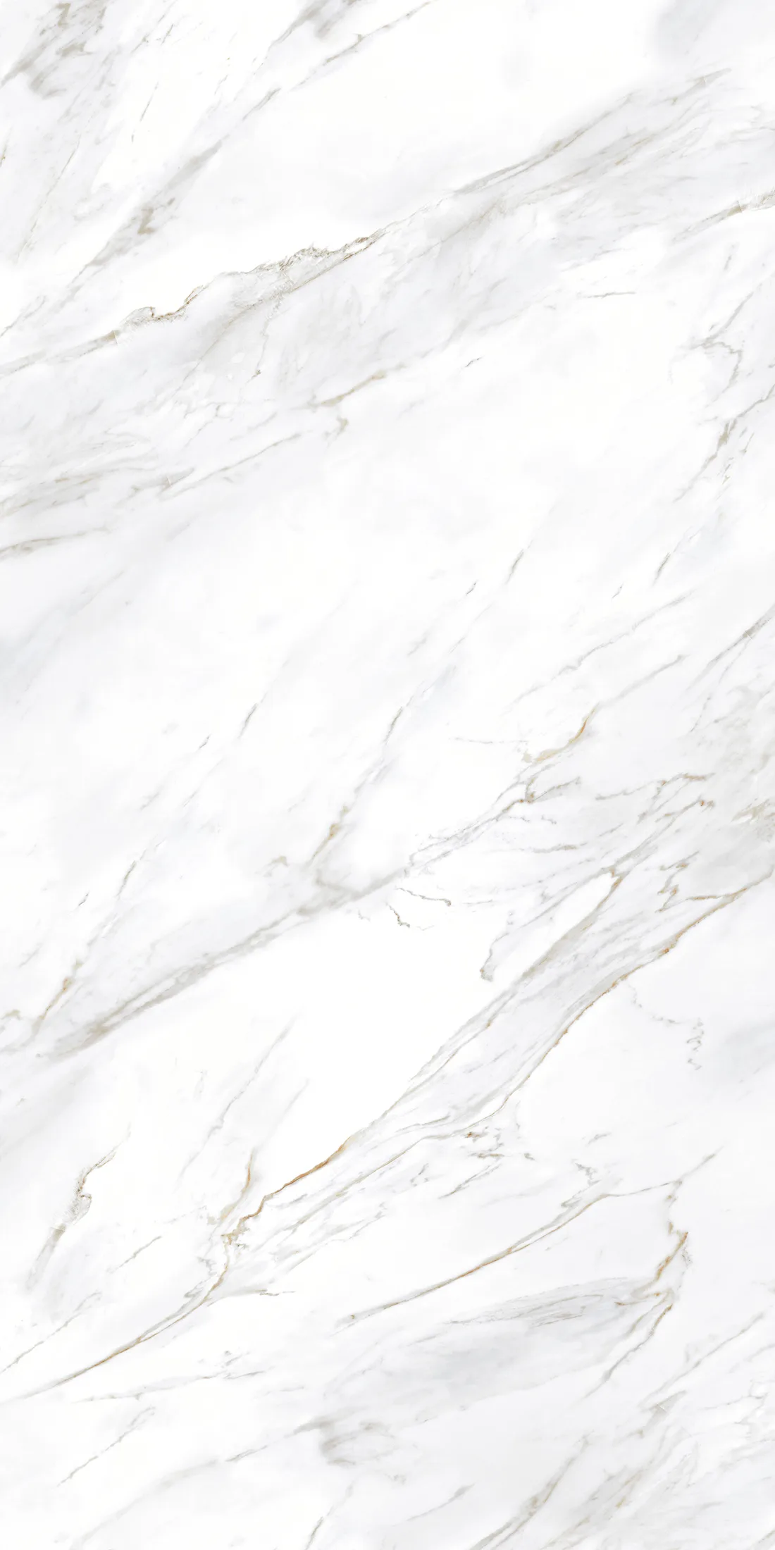Calcatta Borghini · BM_B