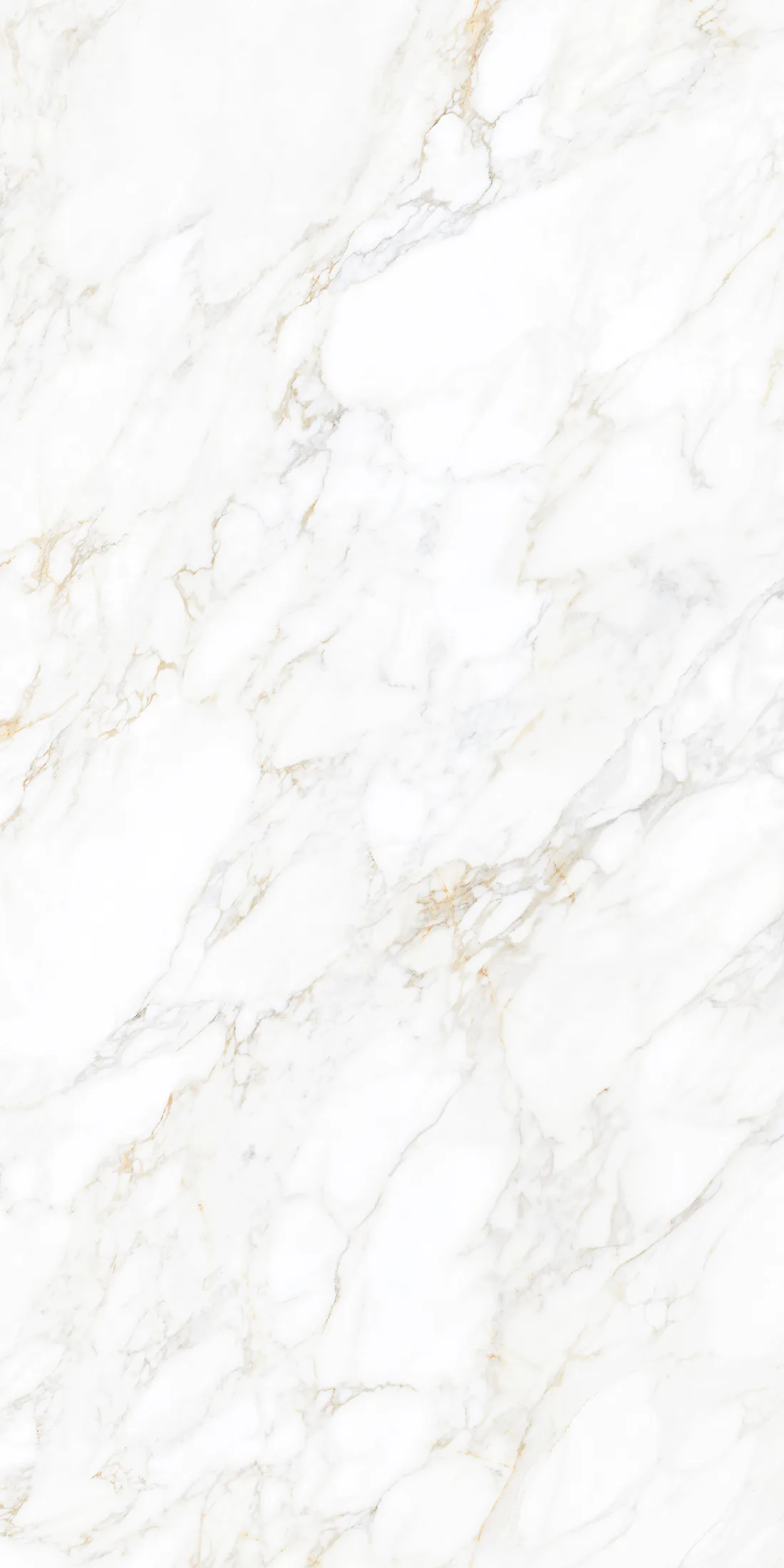 Carrara Delight · 2