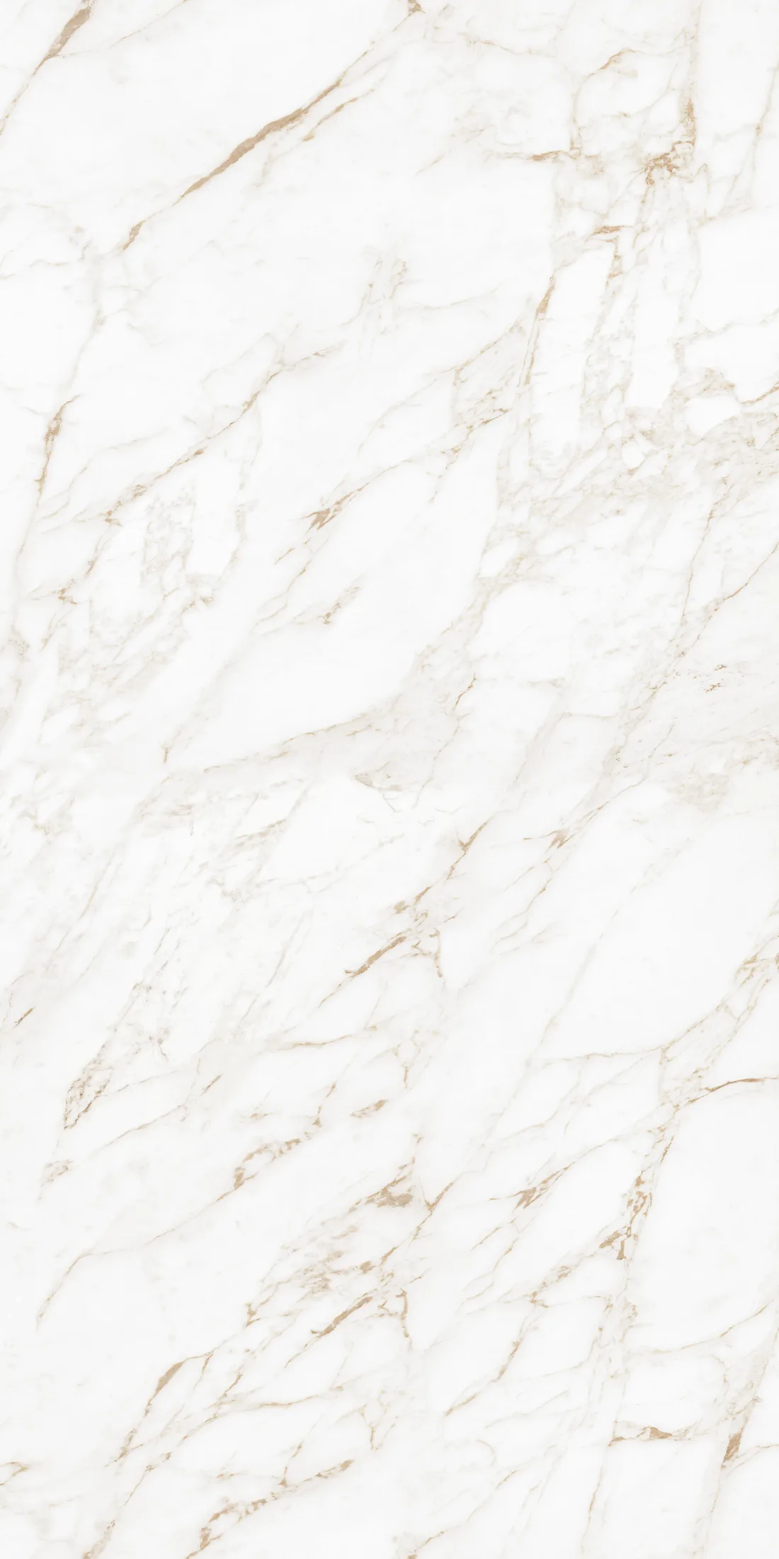 Carrara Gold · 2