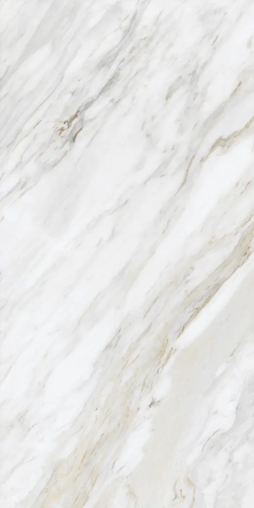 Carrara Renoir