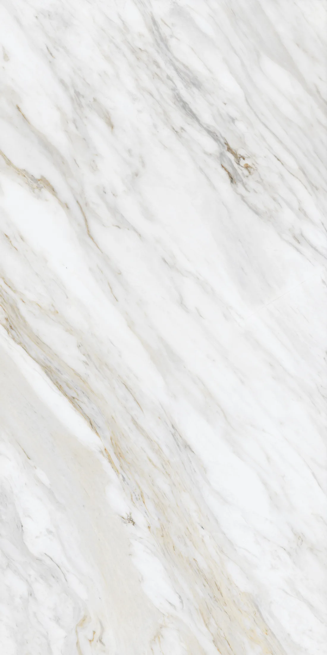 Carrara Renoir · BM_B