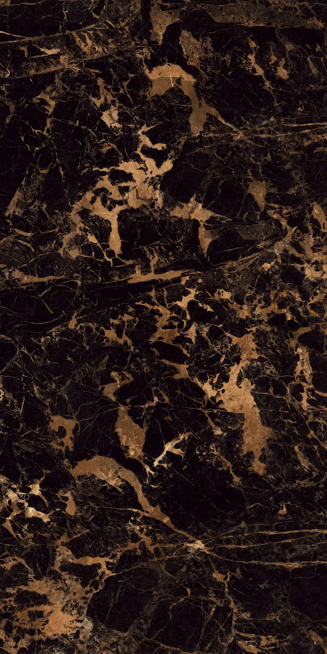 Demartino Gold · BM_B