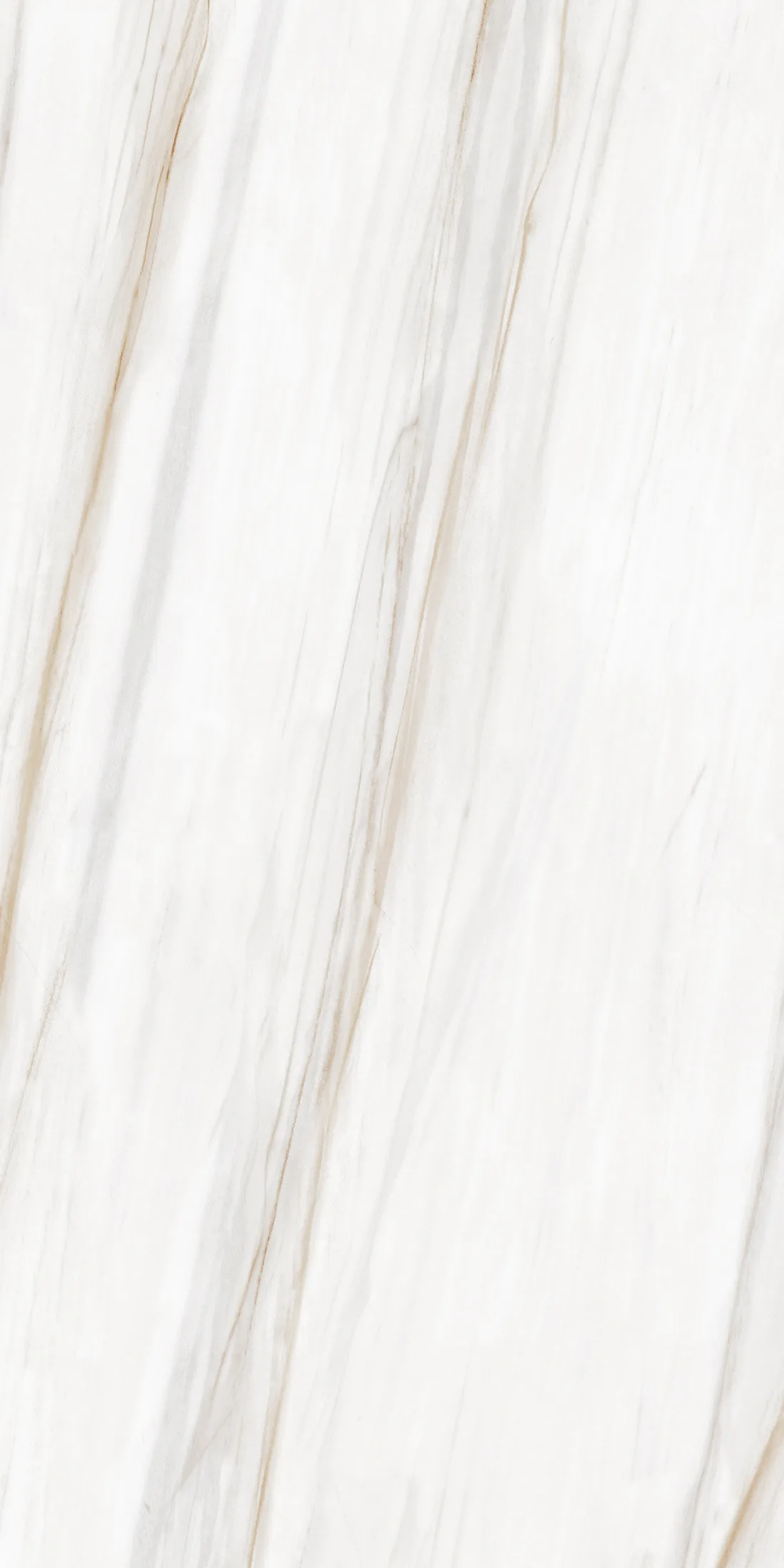 Limod Silk · 2