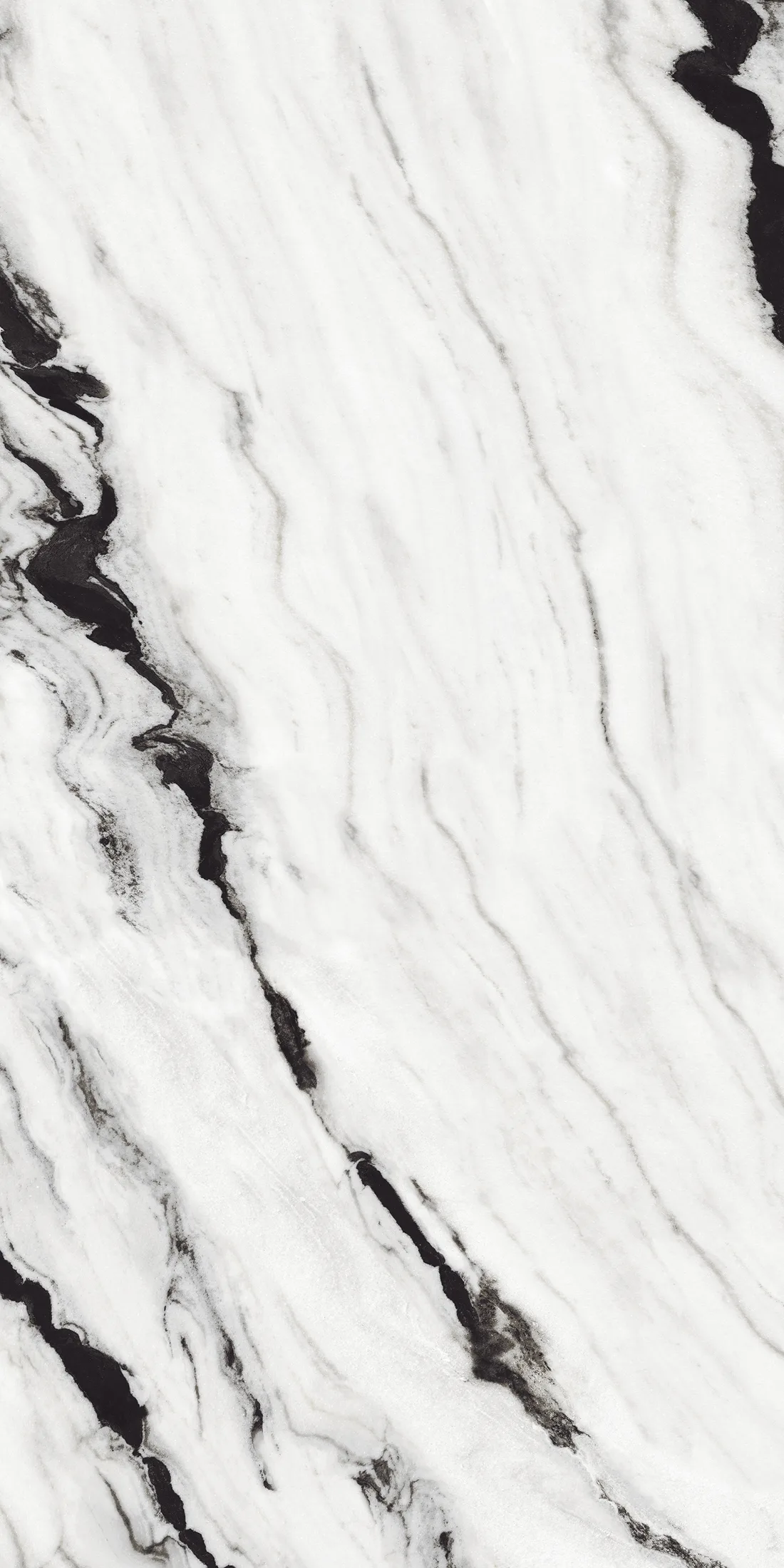 Panda White · BM_B