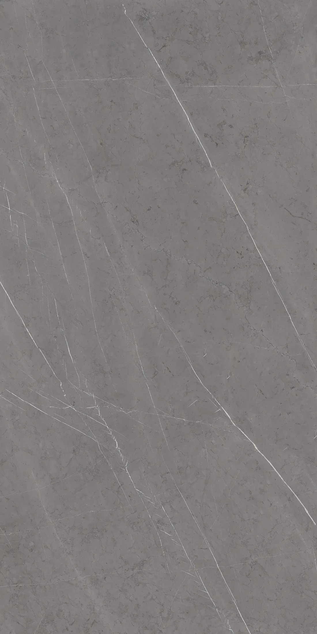 Pietra Grey · 2