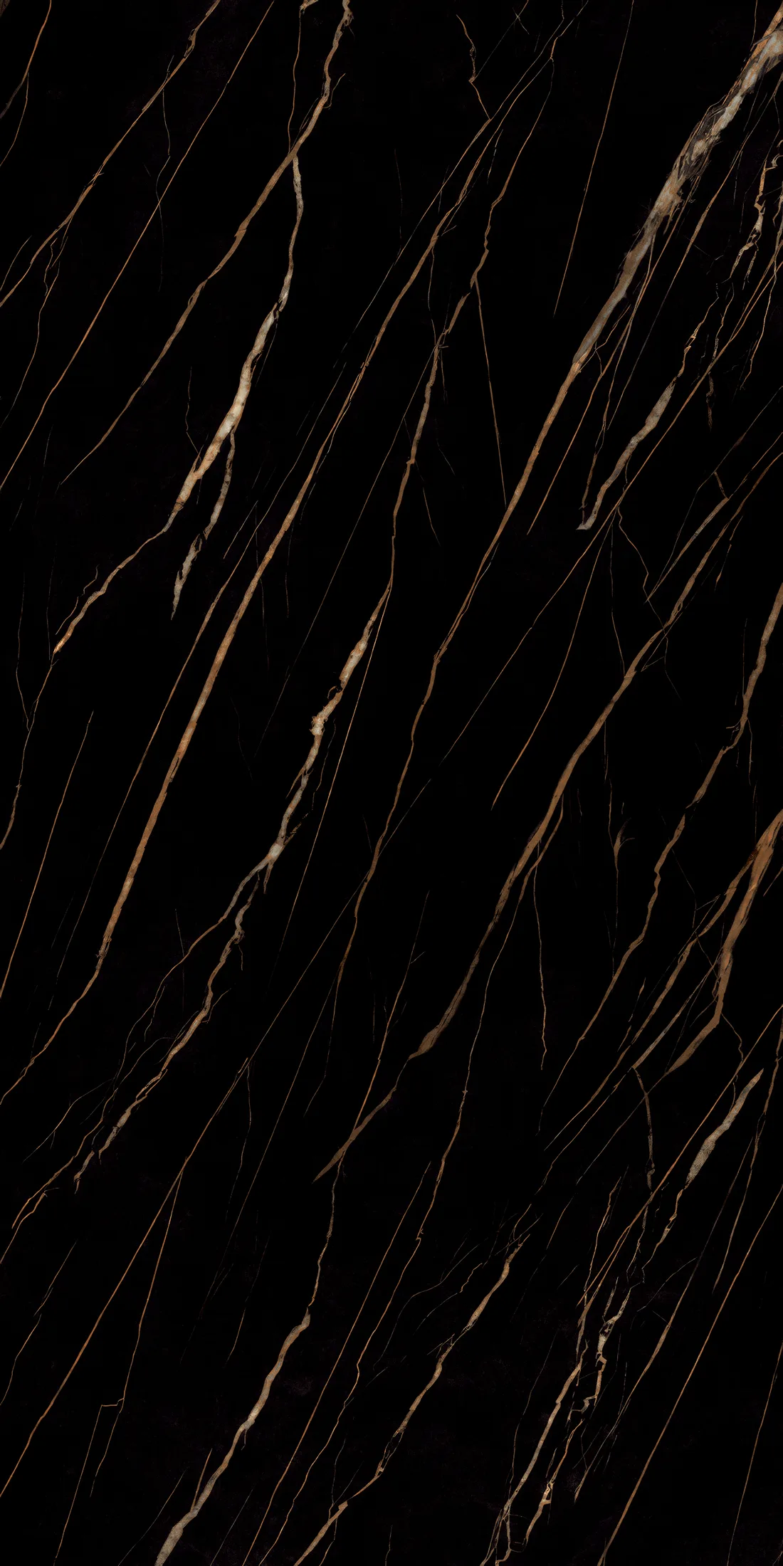 Sahara Noir · 2