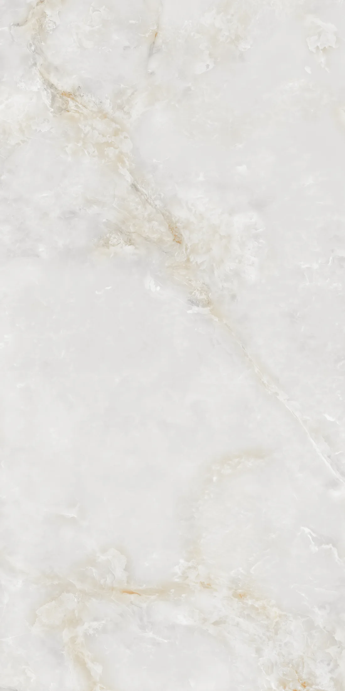 Skyrose White · 2