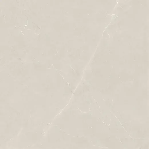 Burbbery Gris