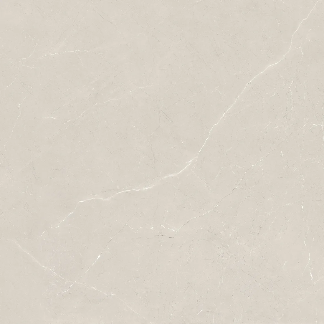 Burbbery Gris · F2