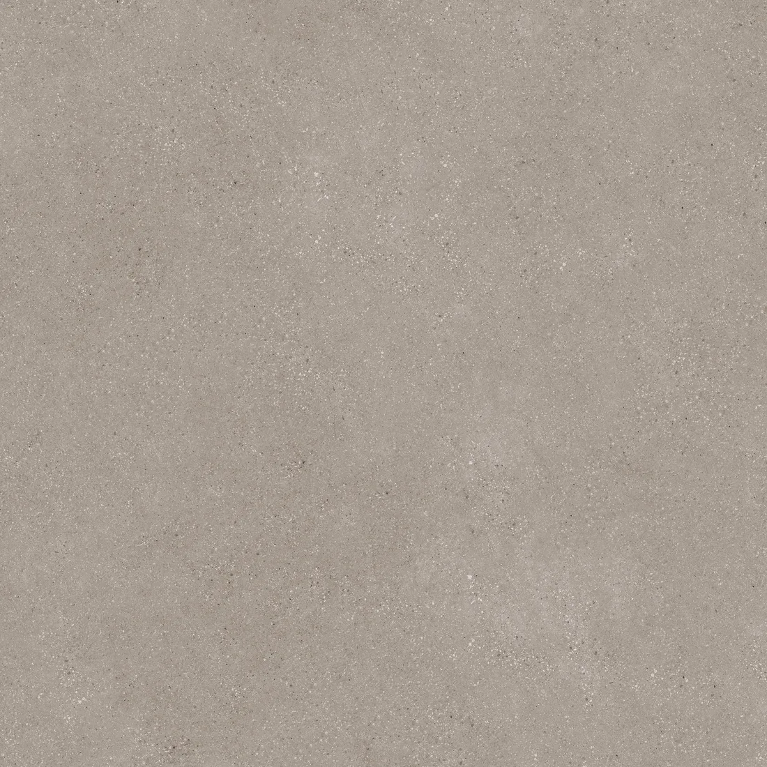 Dust Brown · 02