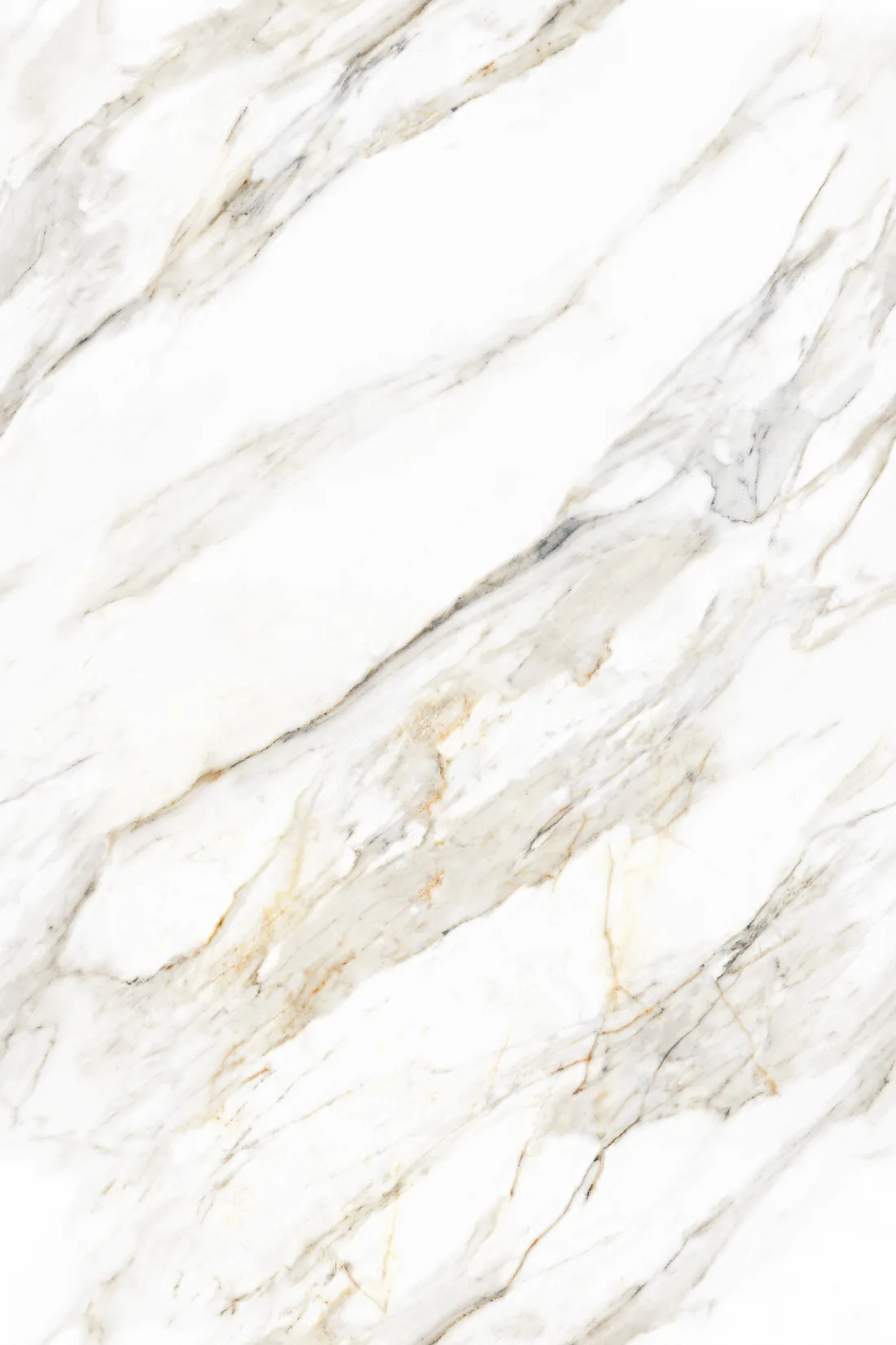 Arrezo Bianco · F2