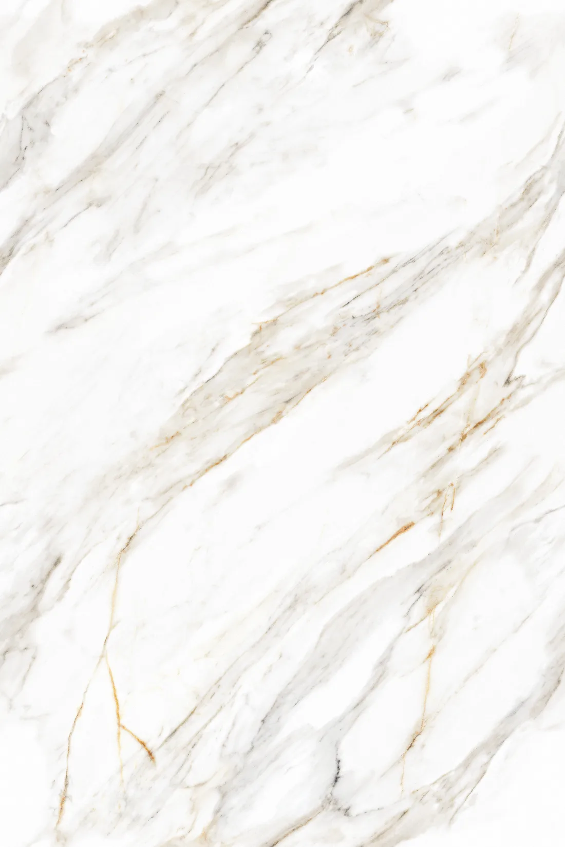 Arrezo Bianco · F3