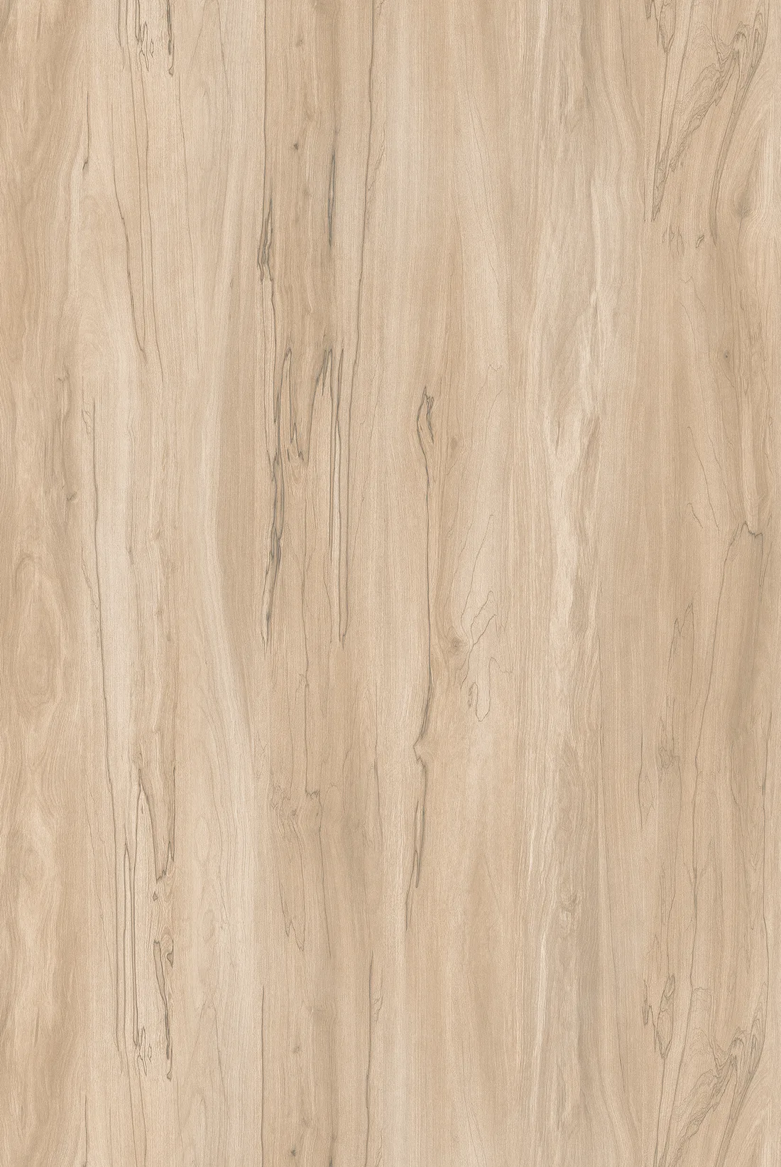 Coster Wood · 02