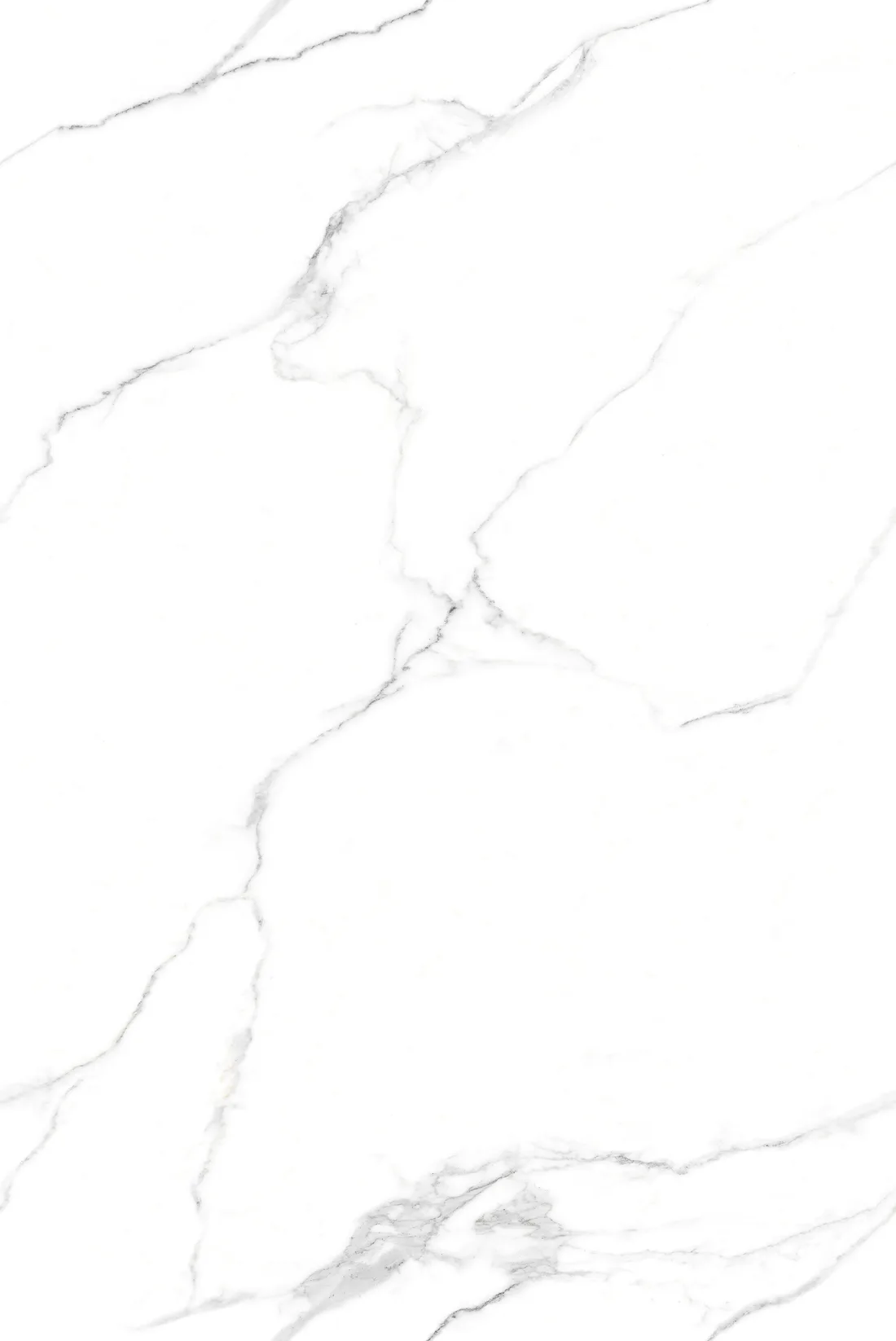 Frenzy White · 02