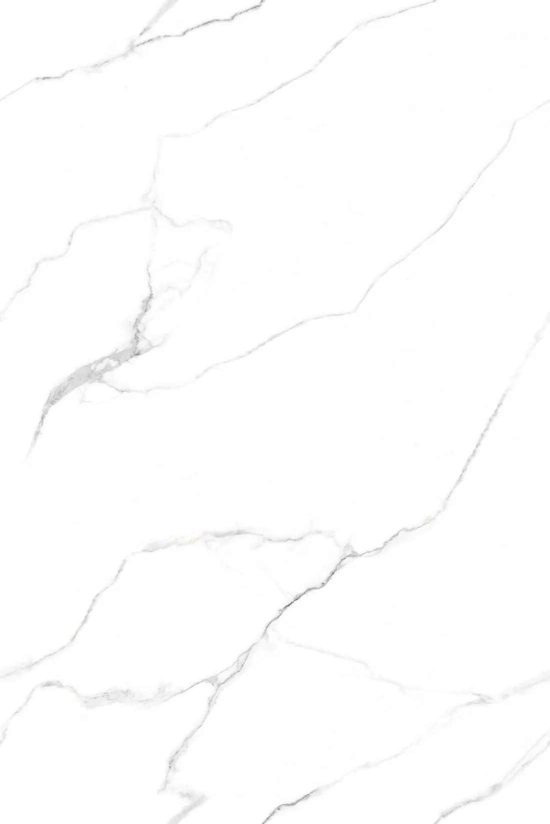 Frenzy White · 03