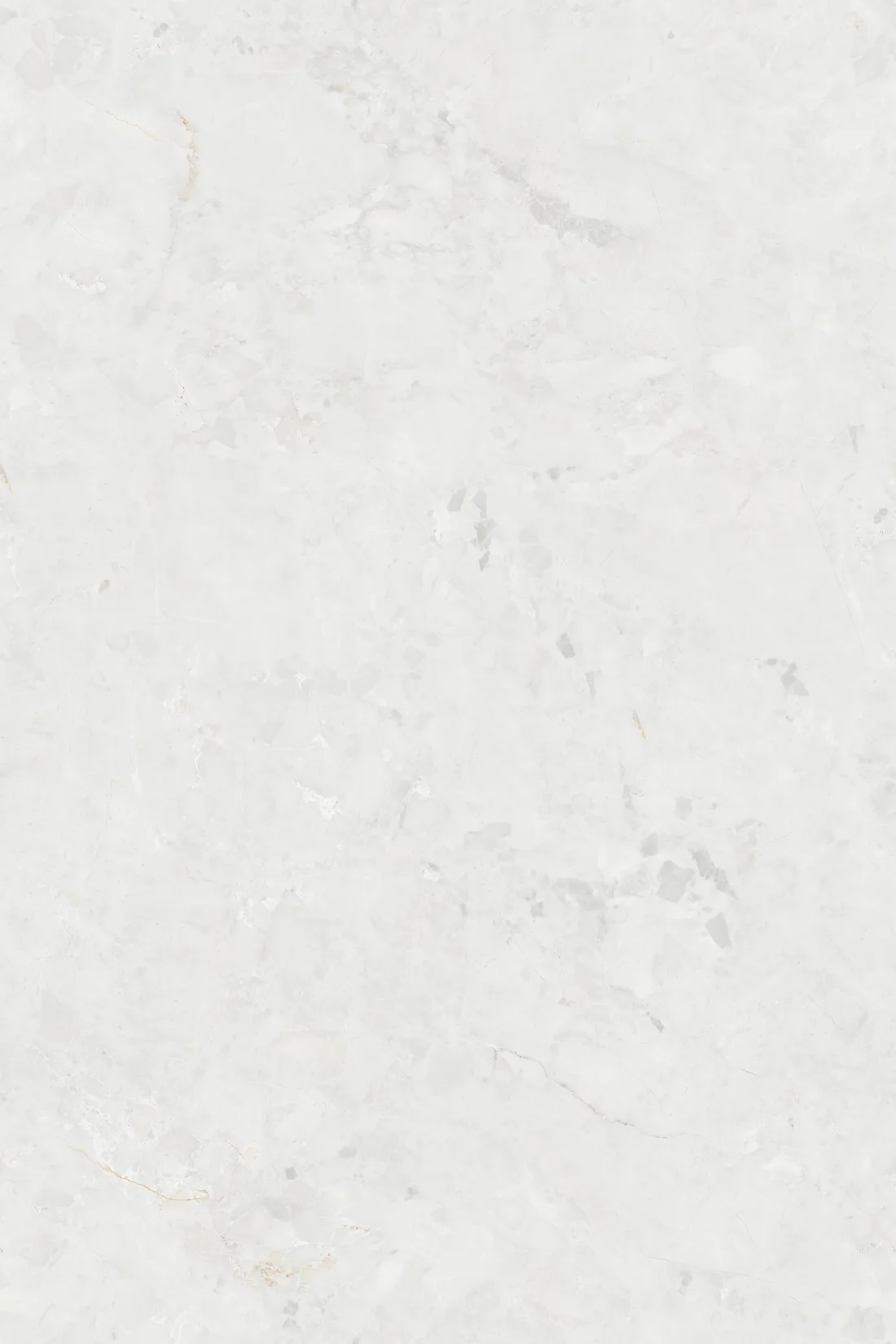 Icestan White · 02