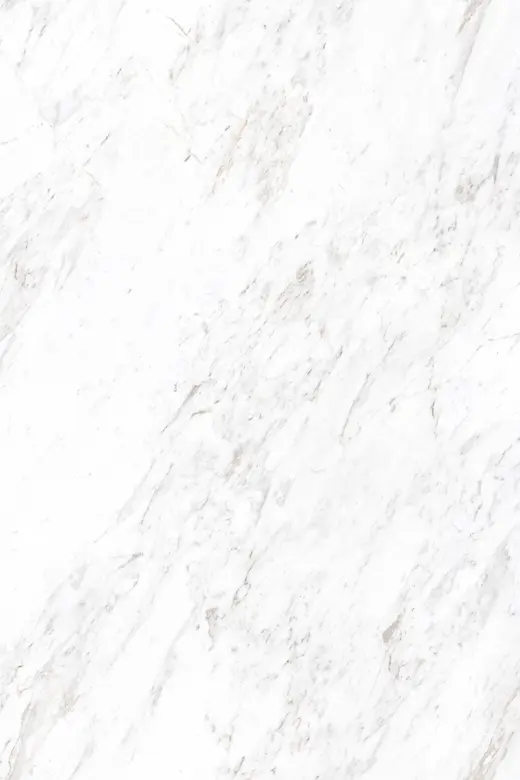 Rock Carrara White F1( M )