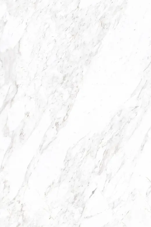 Rock Carrara White