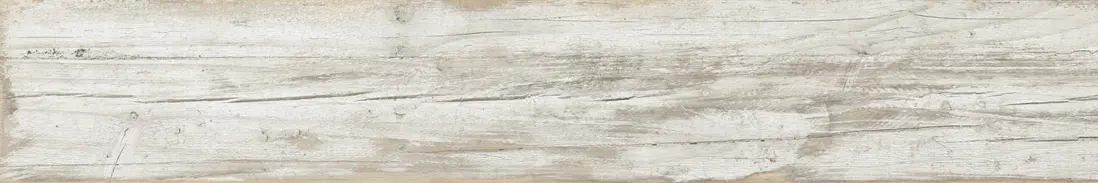 Lisa Wood B