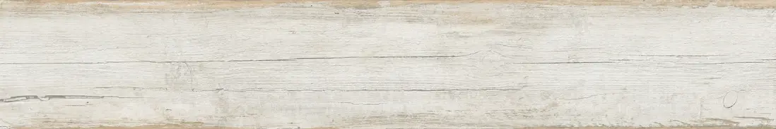 Lisa Wood D