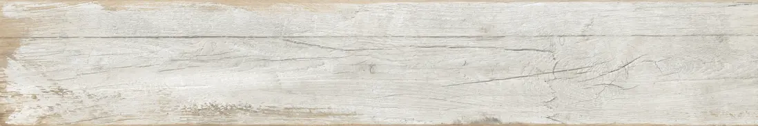 Lisa Wood F