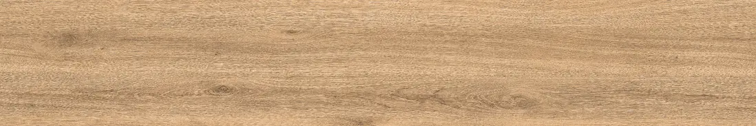 Rd 1006