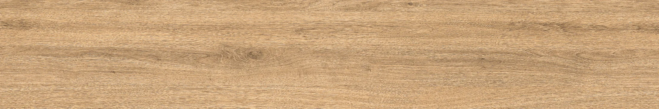 Rd 1006 · P2