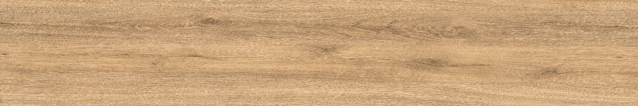 Rd 1006 · P3