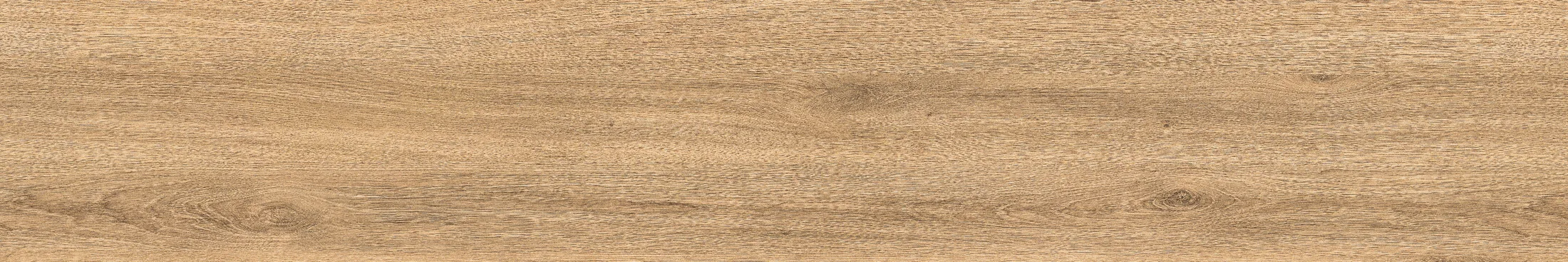 Rd 1006 · P5