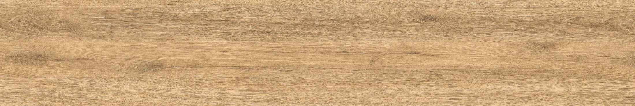 Rd 1006 · P6