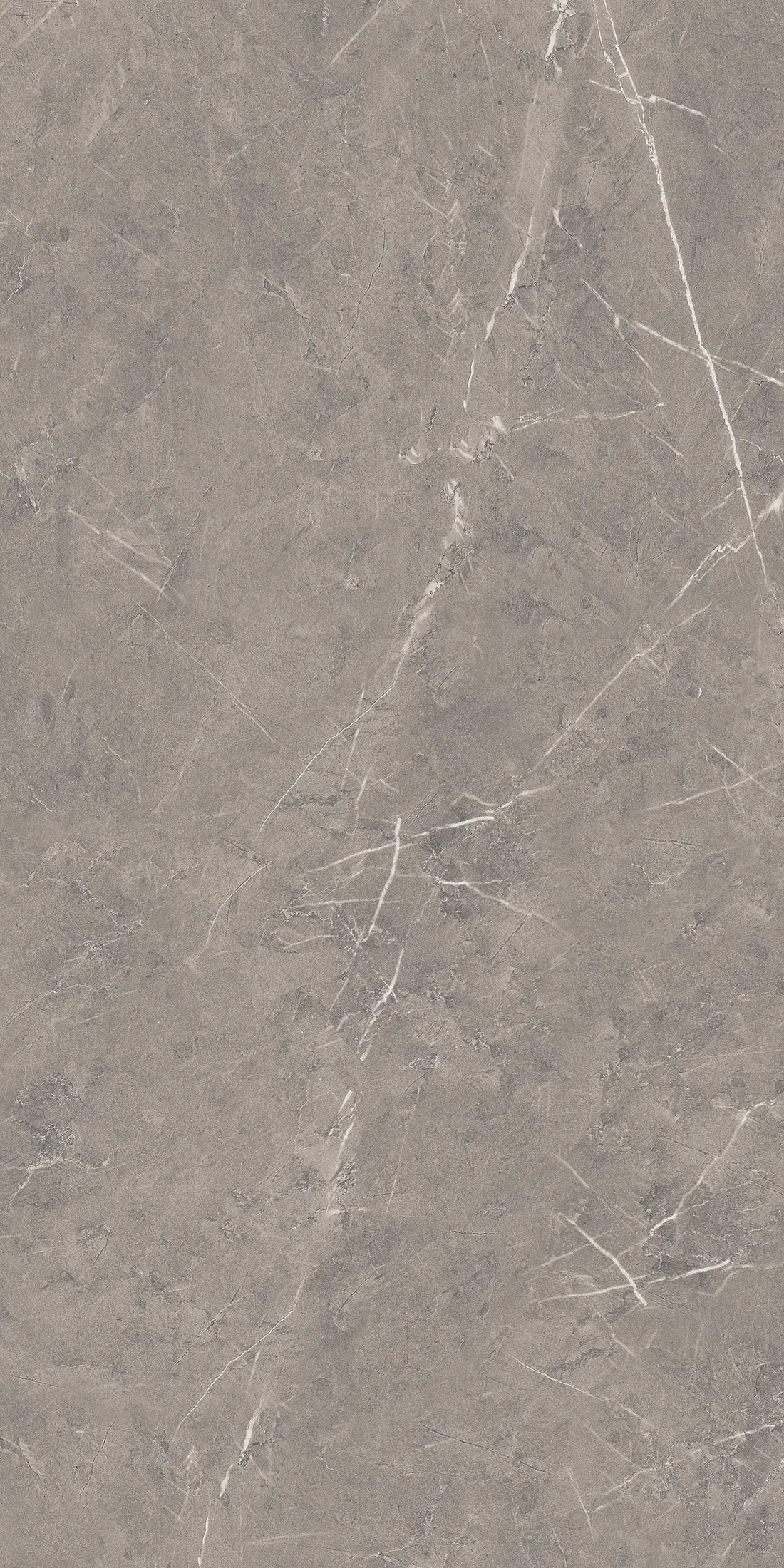 Almaty Black · 6