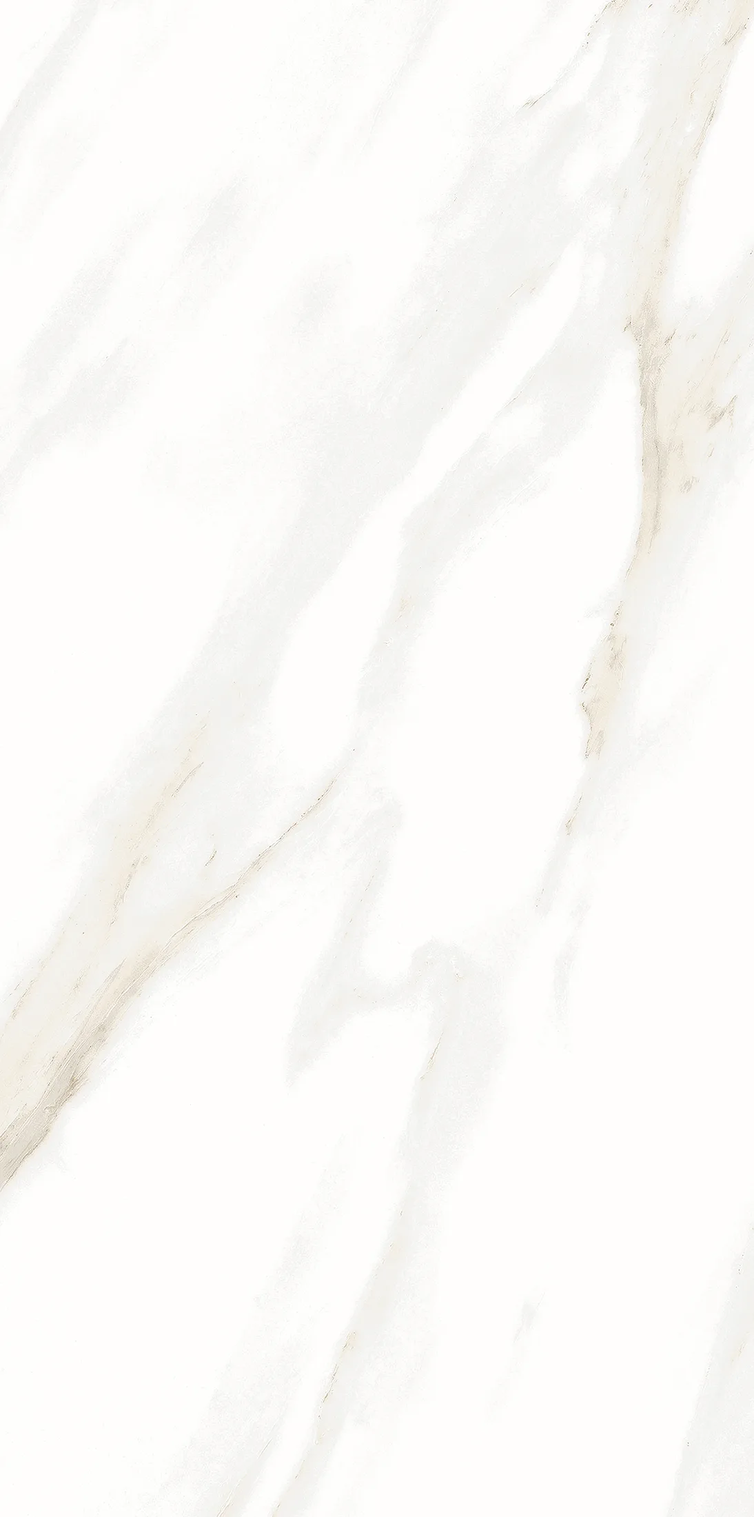 Alps Statuario Gold · 16